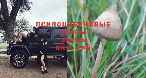 a pvp Верея