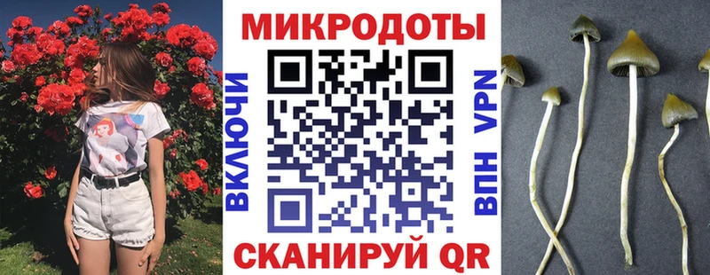 Псилоцибиновые грибы прущие грибы  Нариманов 